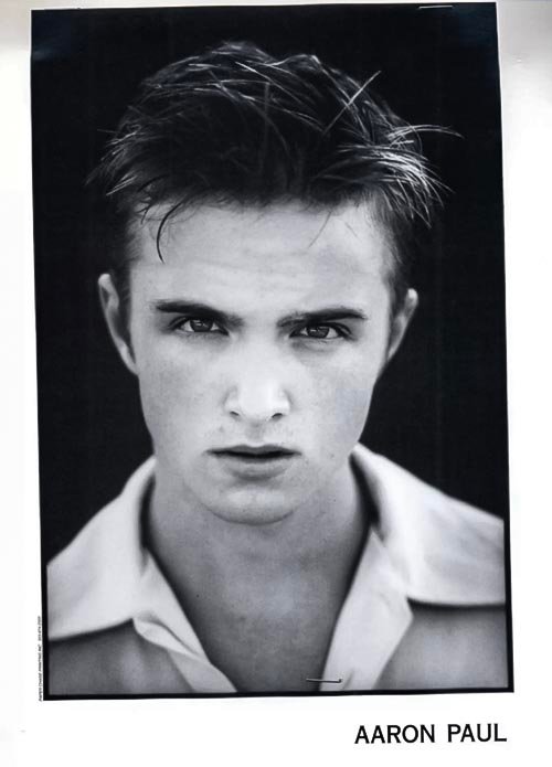 Aaron Paul Resume 1