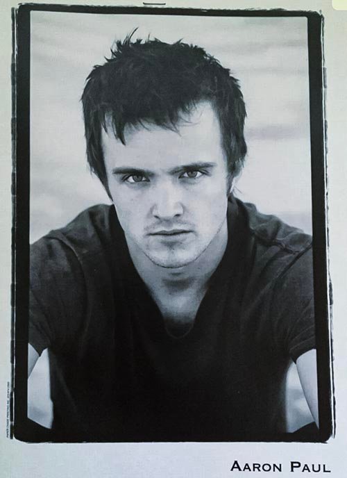 Aaron Paul Resume 3