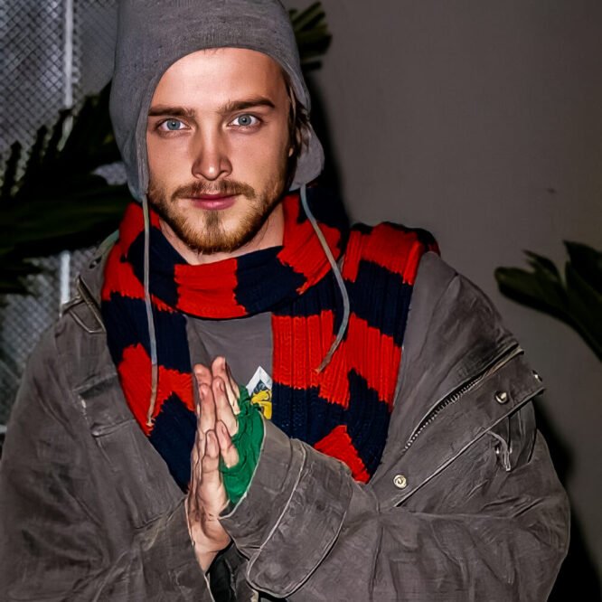 Aaron Paul Fans